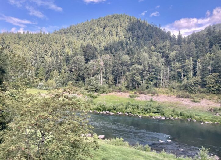 Great Train Views